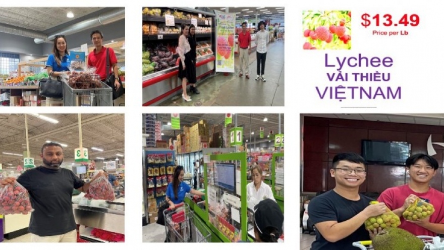 First Vietnamese official lychee shipment arrives in US